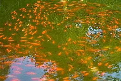 “坦克大战” 《战地2042》正式发售后将拥有双倍坦克