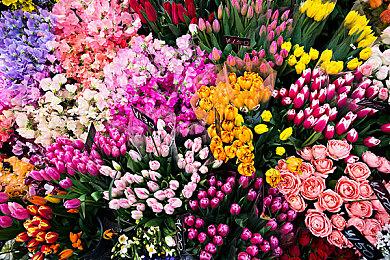 微软将于11月下架Xbox Game Pass手机端应用